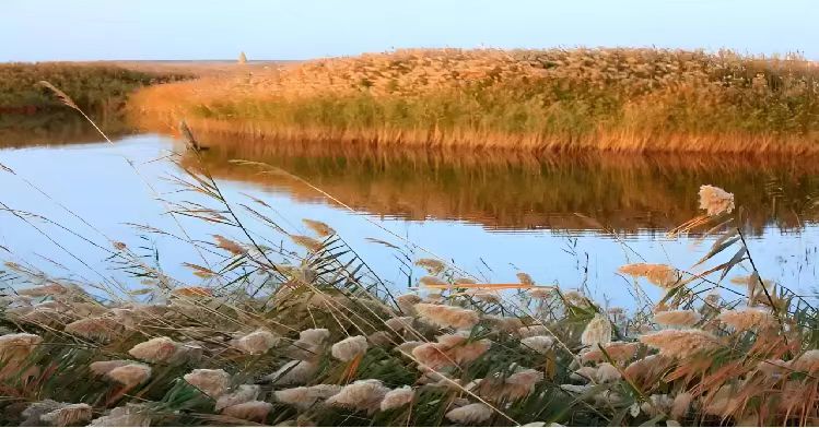 履帶式雙節森林草原(蘆葦)消防滅火全地形車